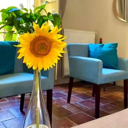 アパート Apartment Albert