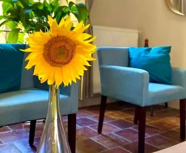 Apartamento Apartment Albert